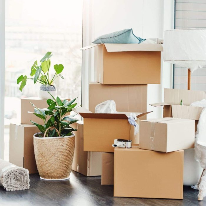 Move In and Move Out Cleaning in New Jersey